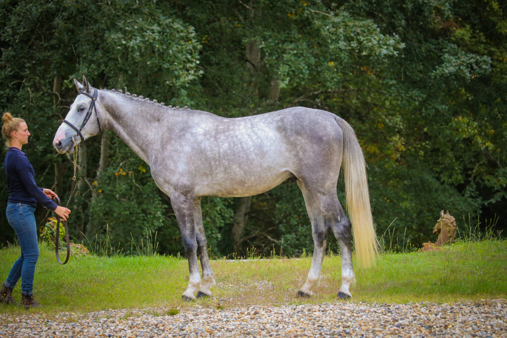 L'Avenir Tenareze au modèle